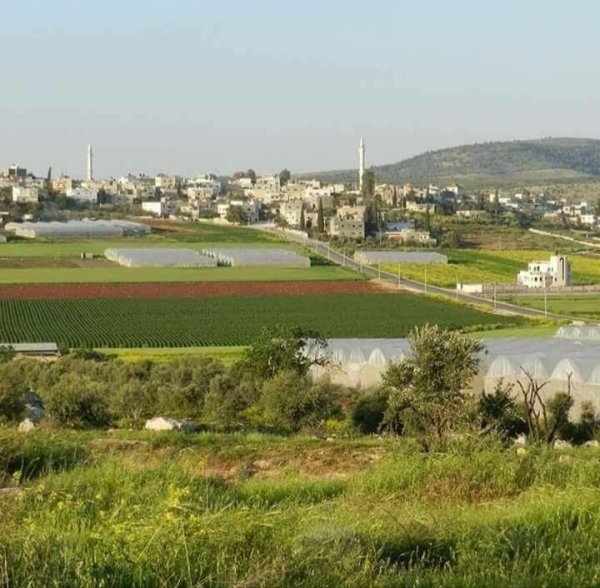  | موسوعة القرى الفلسطينية