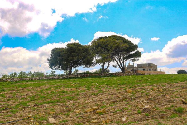  | موسوعة القرى الفلسطينية