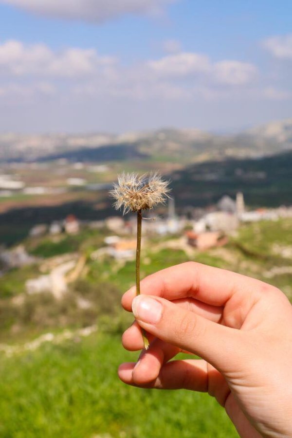  | موسوعة القرى الفلسطينية