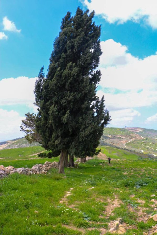  | موسوعة القرى الفلسطينية