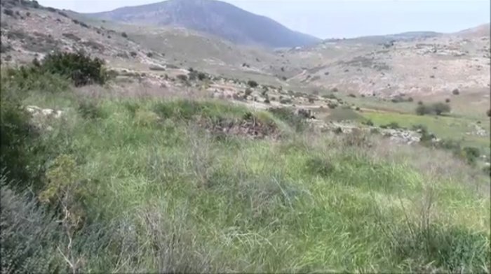 مُغُرْ  الدروز  | موسوعة القرى الفلسطينية