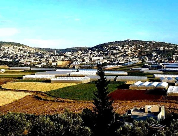  | موسوعة القرى الفلسطينية