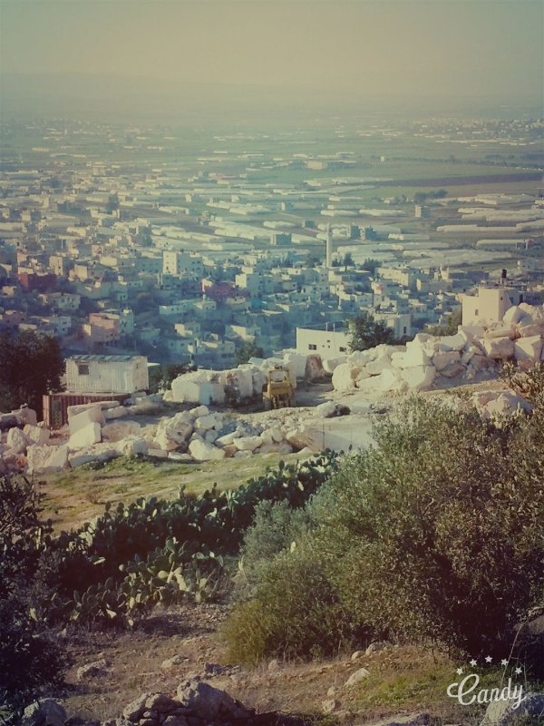  | موسوعة القرى الفلسطينية