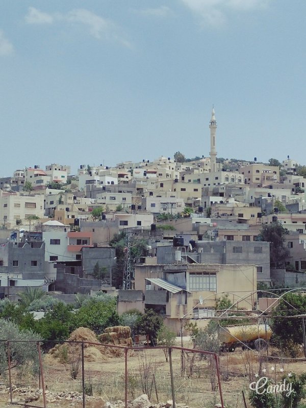  | موسوعة القرى الفلسطينية