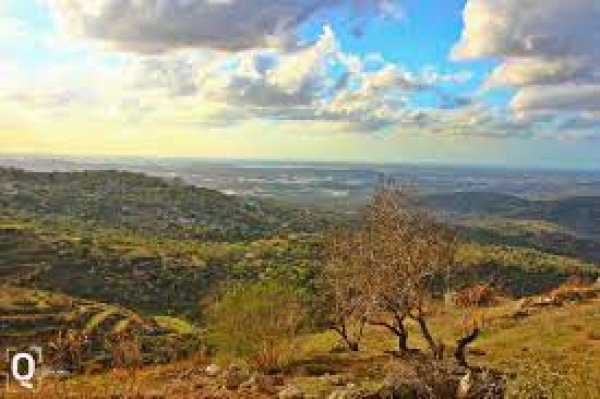  | موسوعة القرى الفلسطينية