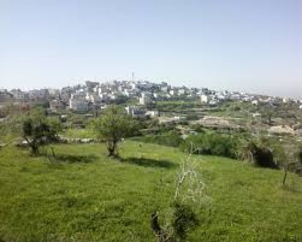  | موسوعة القرى الفلسطينية