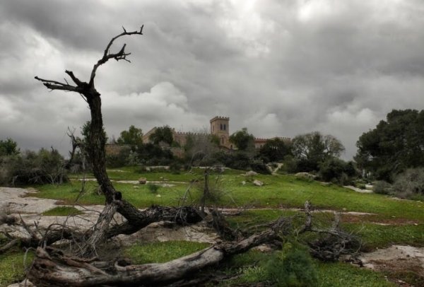 | موسوعة القرى الفلسطينية