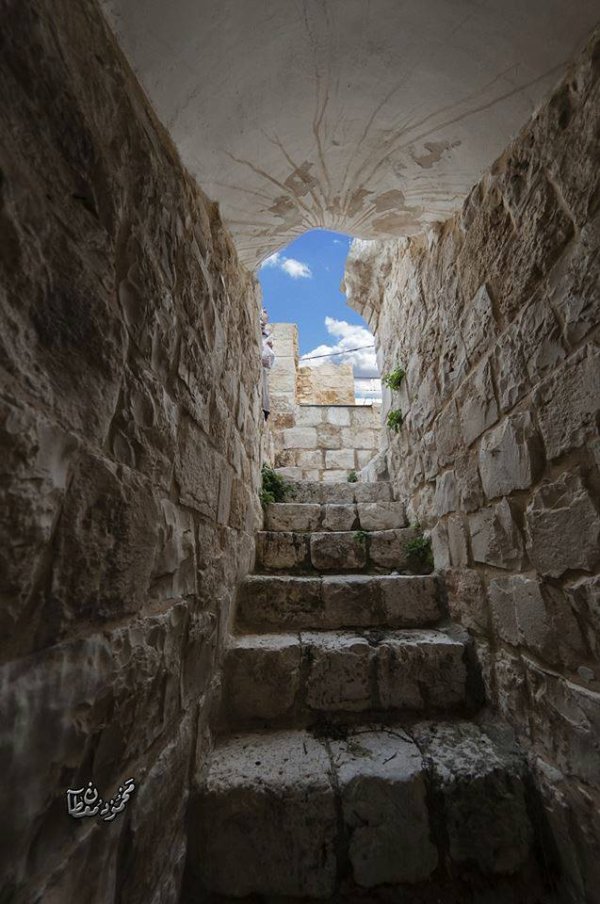  | موسوعة القرى الفلسطينية