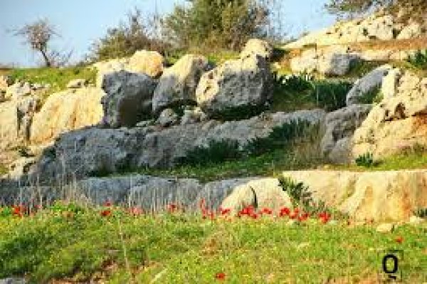  | موسوعة القرى الفلسطينية