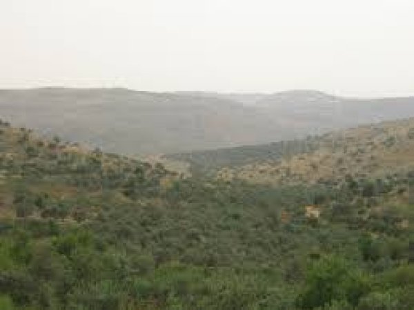  | موسوعة القرى الفلسطينية