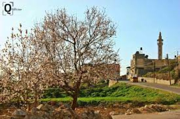  | موسوعة القرى الفلسطينية