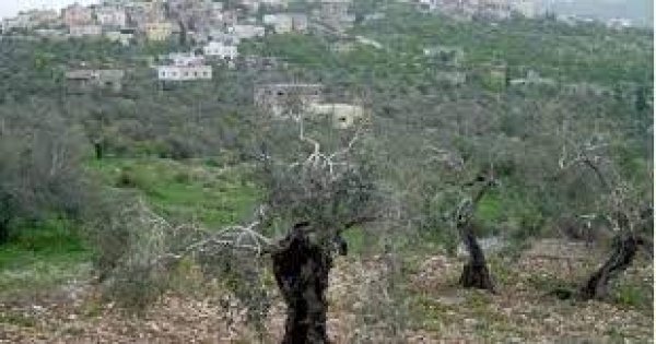  | موسوعة القرى الفلسطينية