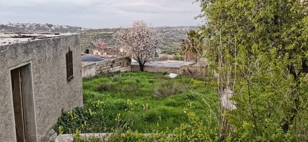  | موسوعة القرى الفلسطينية