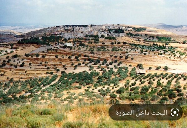  | موسوعة القرى الفلسطينية
