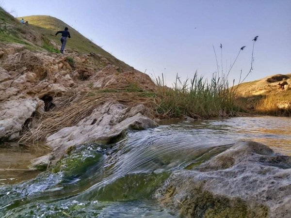  | موسوعة القرى الفلسطينية