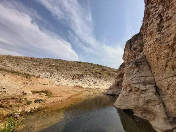  | موسوعة القرى الفلسطينية