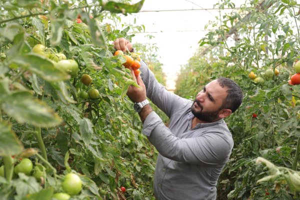  | موسوعة القرى الفلسطينية