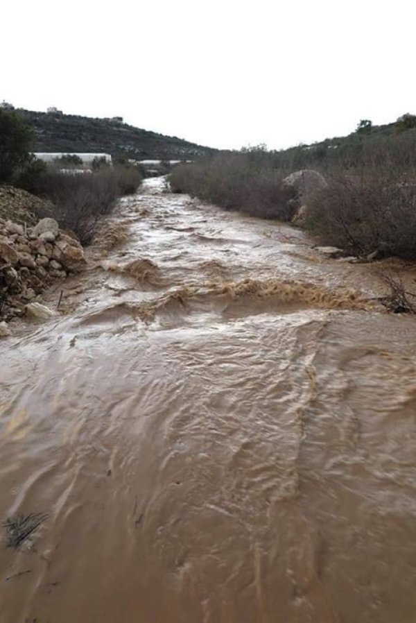  | موسوعة القرى الفلسطينية