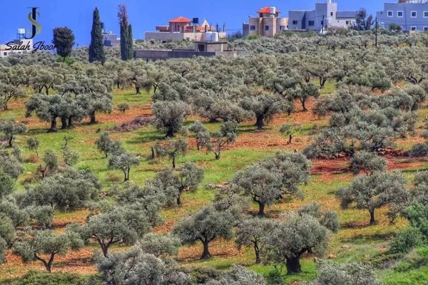  | موسوعة القرى الفلسطينية