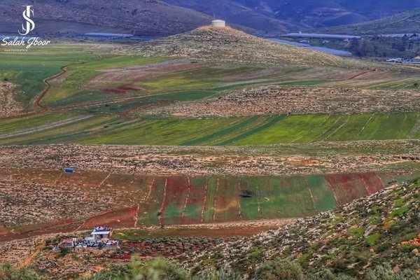  | موسوعة القرى الفلسطينية