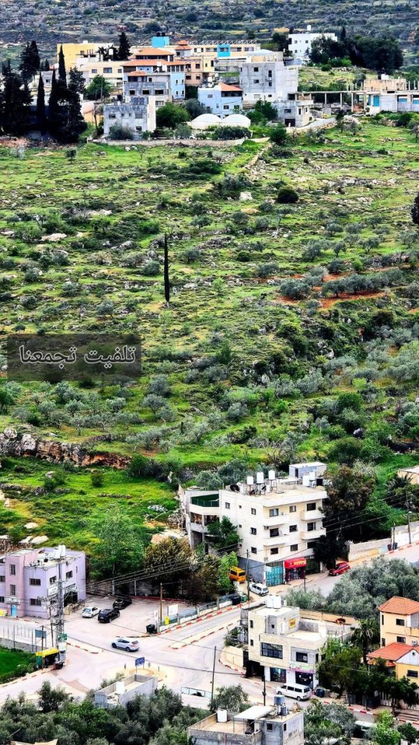 صور  بتاريخ 5 نيسان 2025 من بلدة تلفيت، بعدسة: أ.محمد مسلم