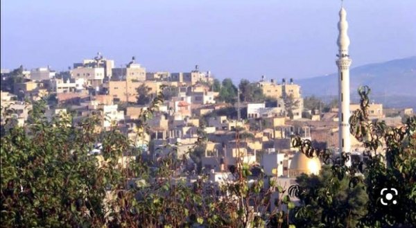 قرية تلفيت / قضاء نابلس