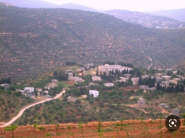 قرية تلفيت / قضاء نابلس