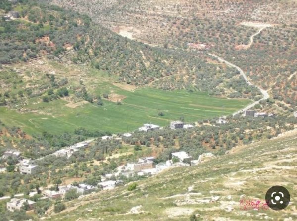 قرية تلفيت / قضاء نابلس