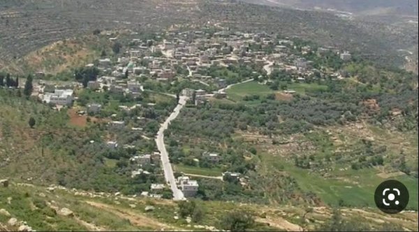 قرية تلفيت / قضاء نابلس