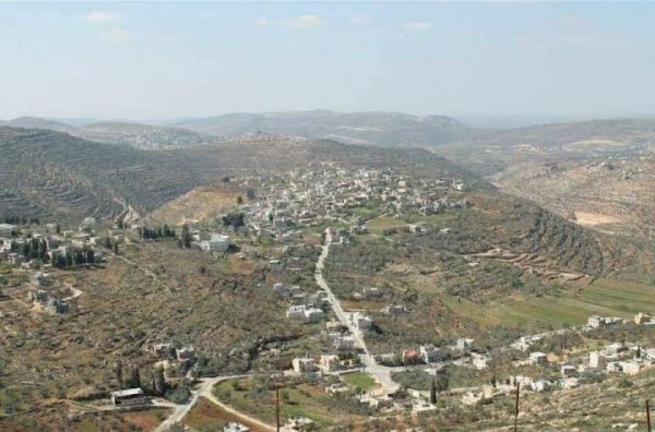 قرية تلفيت / قضاء نابلس