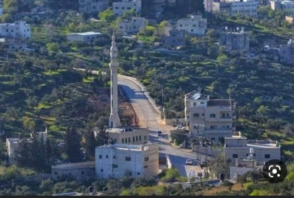 قرية تلفيت / قضاء نابلس