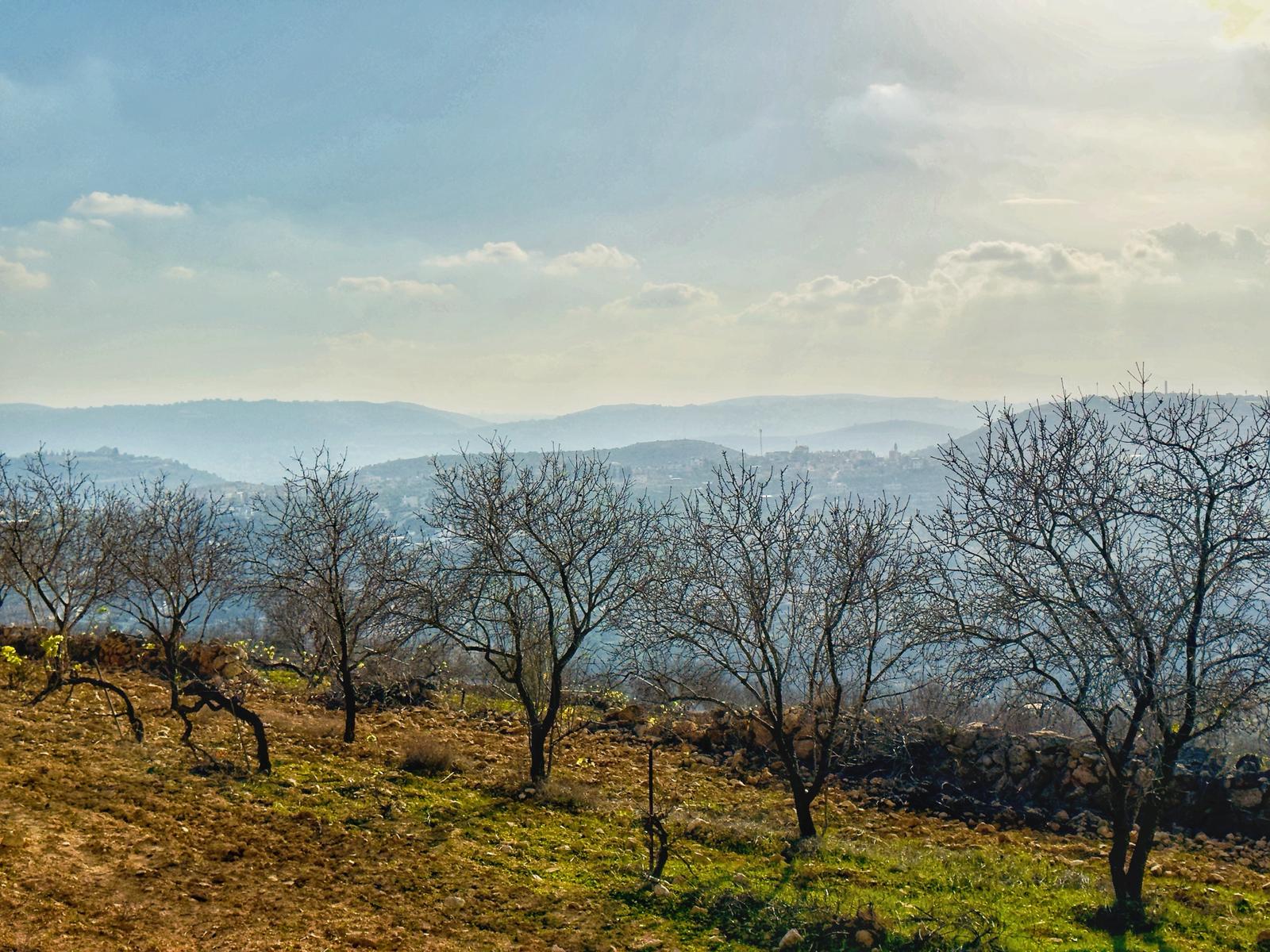 قرية قصرة/نابلس،  بعدسة محمد نزال، موسوعة القرى الفلسطينية
