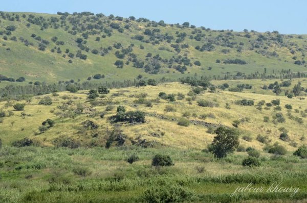  | موسوعة القرى الفلسطينية