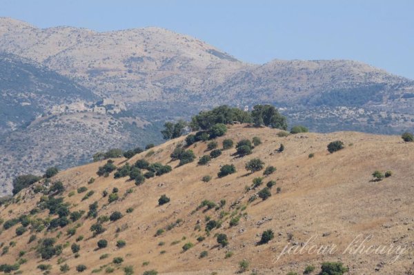  | موسوعة القرى الفلسطينية