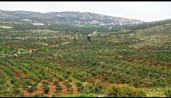 قرية قبلان / نابلس