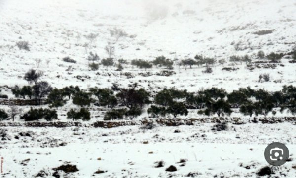 قرية قريوت/ قضاء نابلس