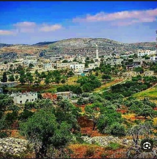 قرية قريوت / قضاء نابلس