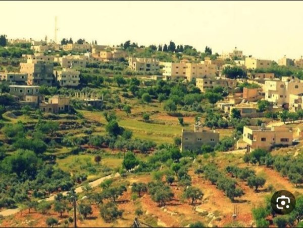 قرية قريوت / قضاء نابلس