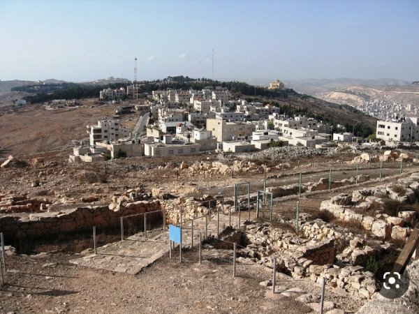 قرية لوزة/ قضاء نابلس