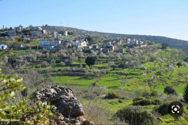  | موسوعة القرى الفلسطينية