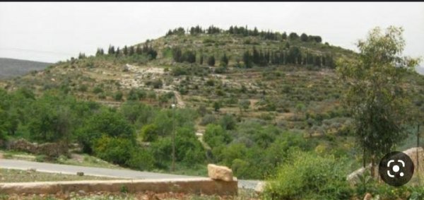  | موسوعة القرى الفلسطينية