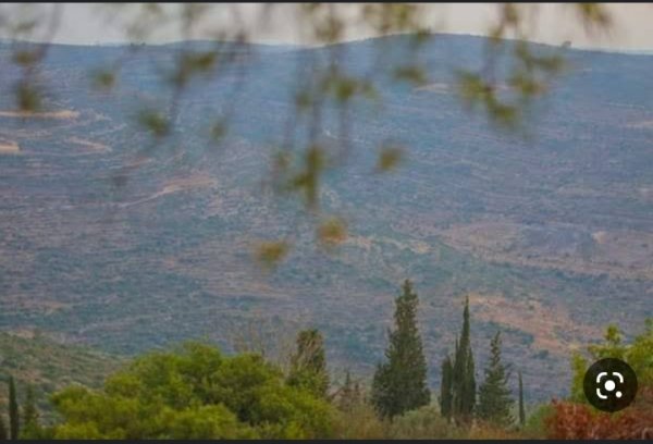  | موسوعة القرى الفلسطينية