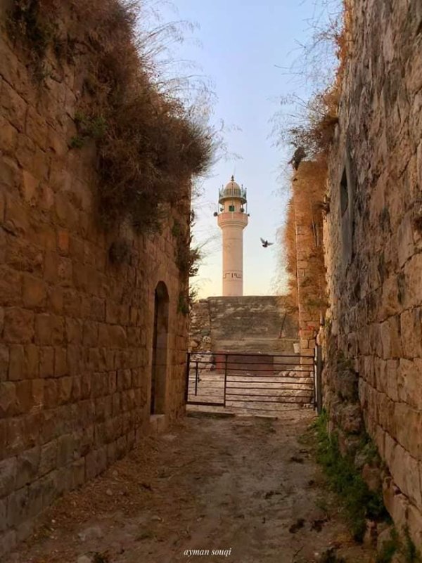  | موسوعة القرى الفلسطينية