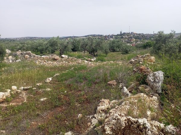  | موسوعة القرى الفلسطينية