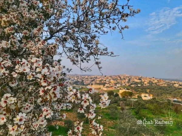  | موسوعة القرى الفلسطينية