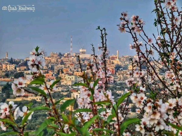  | موسوعة القرى الفلسطينية