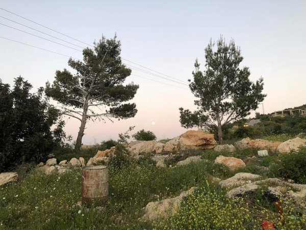  | موسوعة القرى الفلسطينية