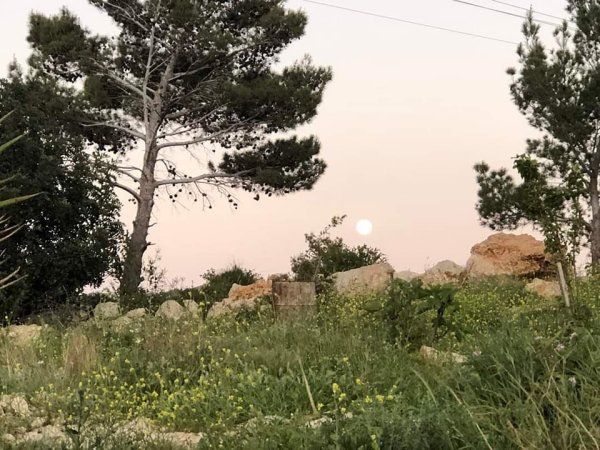  | موسوعة القرى الفلسطينية