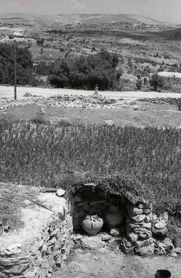 قرية سنجل عام 1968 / رام الله