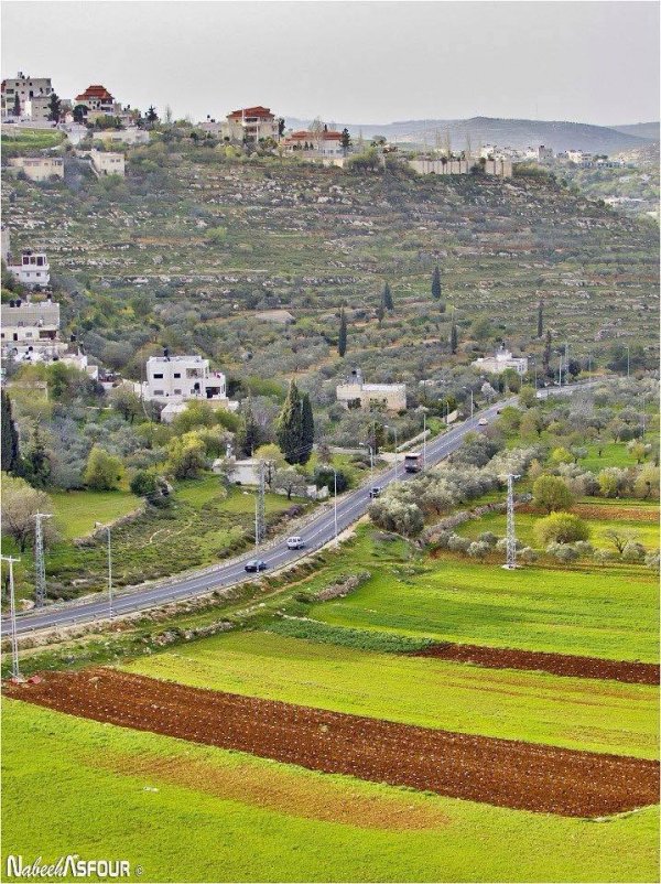 قرية / رام الله